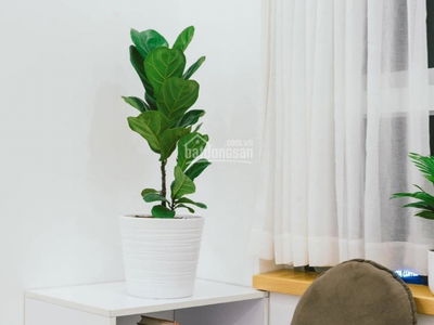 9 View Apartment, Vietnam 9 View Apartment, Vietnam