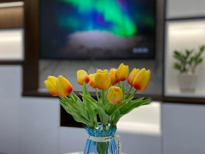 Hoang Liet Ward, Vietnam Hoang Liet Ward, Vietnam