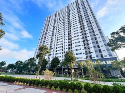 Golden Land 5, Vietnam Golden Land 5, Vietnam