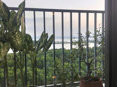 Anh Duong, Vietnam  Anh Duong, Vietnam