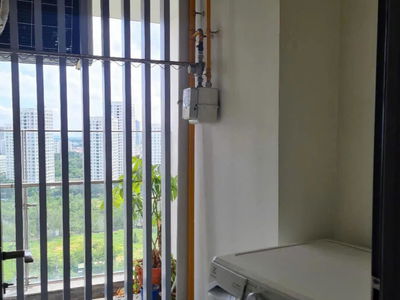 Green Valley, Vietnam Green Valley, Vietnam