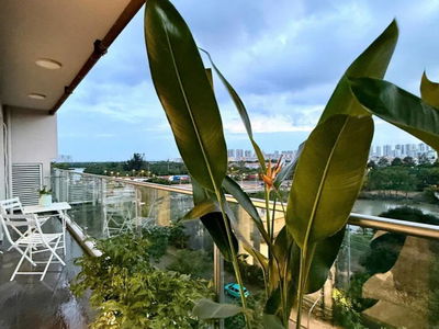 Scenic Valley, Vietnam  Scenic Valley, Vietnam