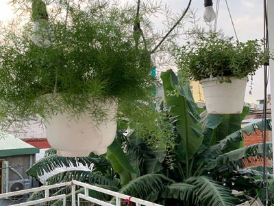 Жилье в Ho Chi Minh City, Vietnam Жилье в Ho Chi Minh City, Vietnam