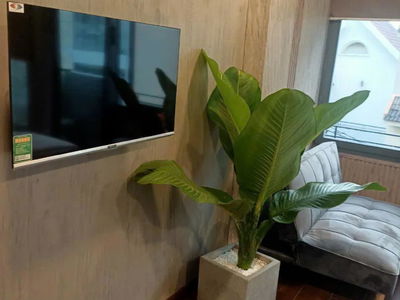 Housing in Ho Chi Minh City, Vietnam Housing in Ho Chi Minh City, Vietnam