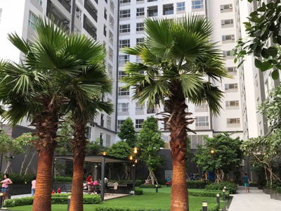 Sunrise Riverside, Vietnam Sunrise Riverside, Vietnam