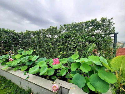 Logement dans Ho Chi Minh City, Vietnam Logement dans Ho Chi Minh City, Vietnam