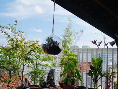 10 District, Vietnam 10 District, Vietnam