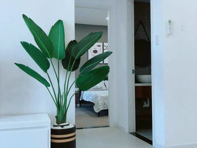 Sunrise Riverside, Vietnam  Sunrise Riverside, Vietnam