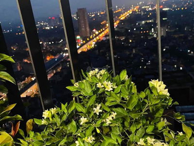 Diamond Goldmark City, Vietnam Diamond Goldmark City, Vietnam