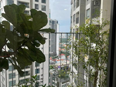 Mastery, Vietnam  Mastery, Vietnam