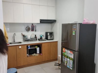 Housing in Ho Chi Minh City, Vietnam Housing in Ho Chi Minh City, Vietnam