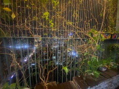 Thong Nhat Complex, Vietnam Thong Nhat Complex, Vietnam