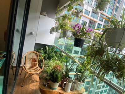 Happy In View, Vietnam Happy In View, Vietnam