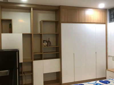 Housing in Ho Chi Minh City, Vietnam Housing in Ho Chi Minh City, Vietnam