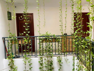 Housing in Ho Chi Minh City, Vietnam Housing in Ho Chi Minh City, Vietnam