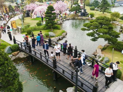 The Sakura, Vietnam The Sakura, Vietnam