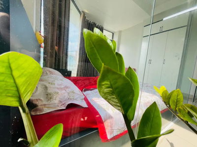 Жилье в Ho Chi Minh City, Vietnam  Жилье в Ho Chi Minh City, Vietnam