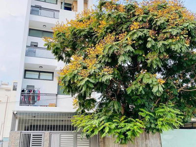 Gehäuse In Ho Chi Minh City, Vietnam Gehäuse In Ho Chi Minh City, Vietnam