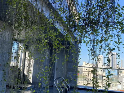 Alojamiento en Da Nang, Vietnam Alojamiento en Da Nang, Vietnam