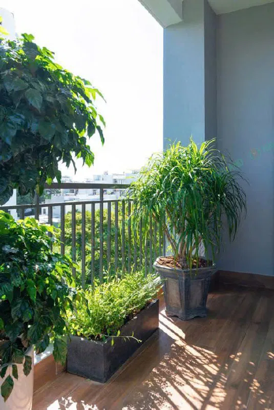 ing, Vietnam ing, Vietnam