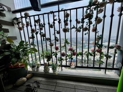 Hateco Apollo, Vietnam Hateco Apollo, Vietnam