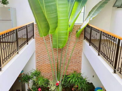 Жилье в Da Nang, Vietnam Жилье в Da Nang, Vietnam