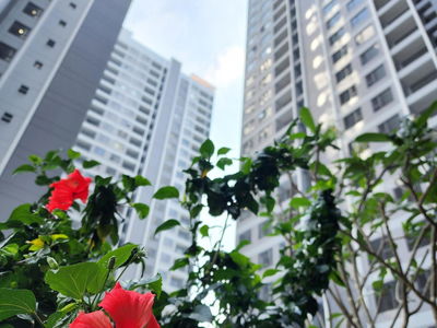 The Rivana, Vietnam The Rivana, Vietnam