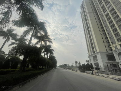 Moonlight 1 Moonlight 1