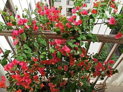 Eurowindow Multi Complex Project, Vietnam Eurowindow Multi Complex Project, Vietnam