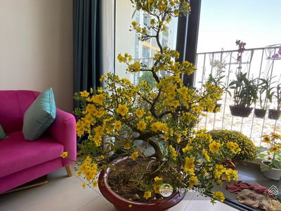 The Pegasuite, Vietnam The Pegasuite, Vietnam