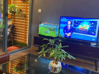 - 99 Tran Binh, Vietnam - 99 Tran Binh, Vietnam