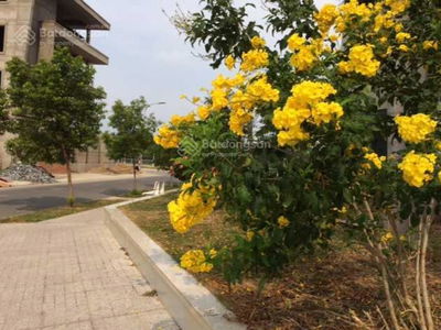Beauty Apartment, Vietnam Beauty Apartment, Vietnam