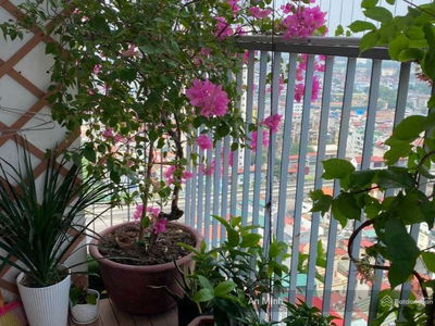 Co Nhue Urban Area Project, Vietnam Co Nhue Urban Area Project, Vietnam