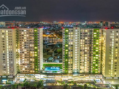 Washed Garden, Vietnam Washed Garden, Vietnam