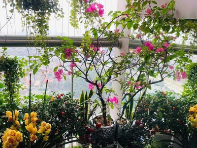 Le Van Thiem Street, Vietnam  Le Van Thiem Street, Vietnam