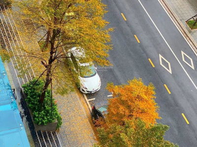 My Dinh Pearl Project, Vietnam  My Dinh Pearl Project, Vietnam