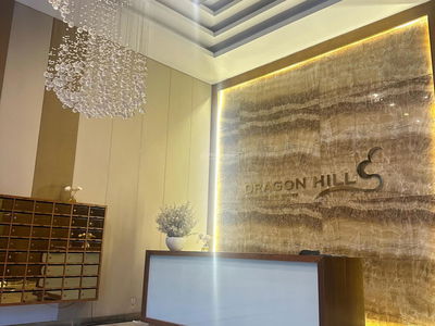 Dragon City, Vietnam Dragon City, Vietnam