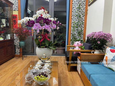 CT36 - Dream Home, Vietnam CT36 - Dream Home, Vietnam