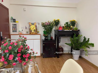 CT36 - Dream Home, Vietnam CT36 - Dream Home, Vietnam