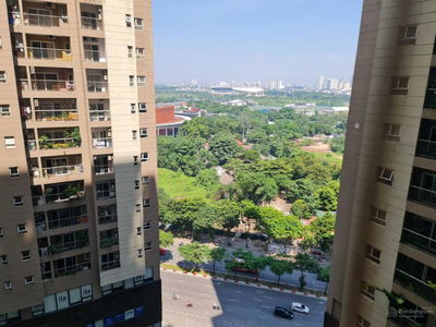 Golden Palace Golden Palace