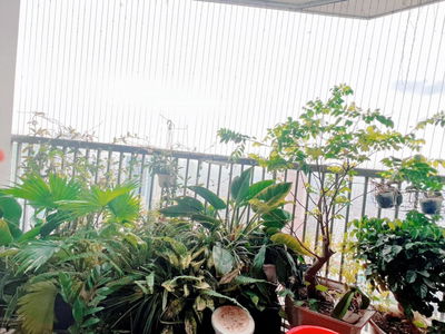 New Skyline Project, Vietnam  New Skyline Project, Vietnam