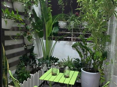 C14 - Ministry of Public Security, Vietnam  C14 - Ministry of Public Security, Vietnam