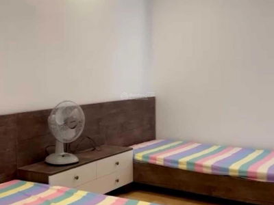 Vung Tau Melody Project, Vietnam Vung Tau Melody Project, Vietnam