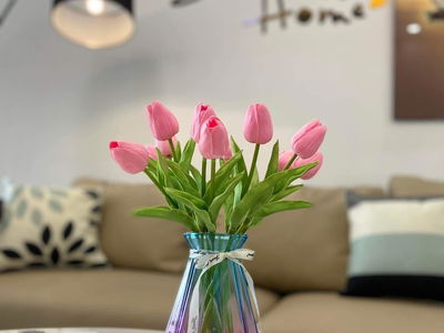 HH2 Linh Dam, Vietnam  HH2 Linh Dam, Vietnam