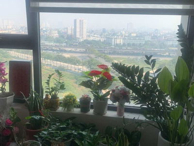 Bea Sky Project, Vietnam  Bea Sky Project, Vietnam