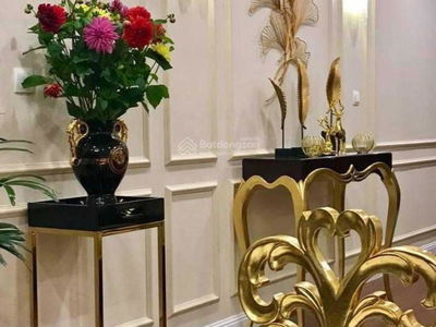 The Artemis Project, Vietnam The Artemis Project, Vietnam