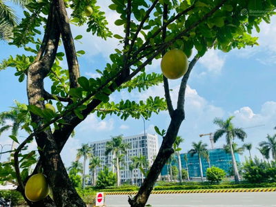 Ehome Southgate Project, Vietnam  Ehome Southgate Project, Vietnam