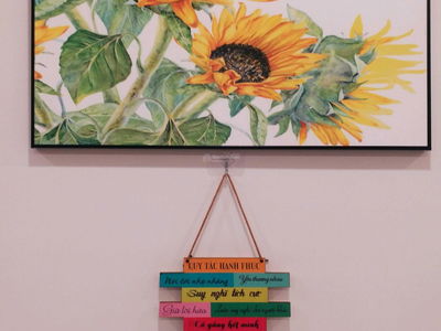 C-SkyView Project, Vietnam C-SkyView Project, Vietnam