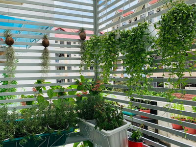 An Vien Apartment, Vietnam An Vien Apartment, Vietnam