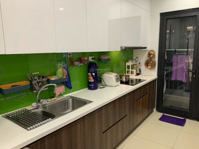 N01-T1 Diplomatic Corps, Vietnam N01-T1 Diplomatic Corps, Vietnam